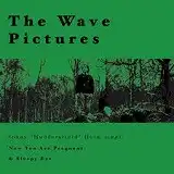THE WAVE PICTURES / JOHNNY HELM SINGΥʥ쥳ɥ㥱å ()