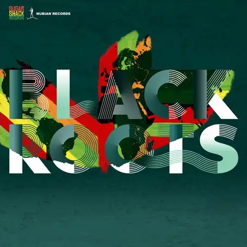 BLACK ROOTS / ON THE GROUNDΥʥ쥳ɥ㥱å ()