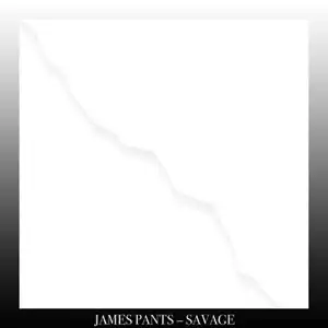 JAMES PANTS / SAVAGE Υʥ쥳ɥ㥱å ()