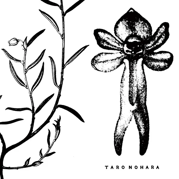 TARO NOHARA (䤱ΤϤ) / POLY​-​TIME SOUNDSCAPES  FOREST OF THE SHRINEΥʥ쥳ɥ㥱å ()