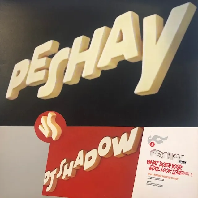 PESHAY VS DJ SHADOW / WHAT DOES YOUR SOUL LOOKΥʥ쥳ɥ㥱å ()