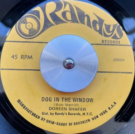 DOREEN SHAFER / DOG IN THE WINDOW  JUNE NIGHTΥʥ쥳ɥ㥱å ()