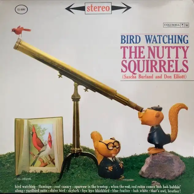 NUTTY SQUIRRELS / BIRD WATCHINGΥʥ쥳ɥ㥱å ()