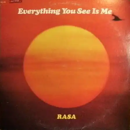 RASA / EVERYTHING YOU SEE IS MEΥʥ쥳ɥ㥱å ()