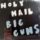 HOLY HAIL / BIG CUNSΥʥ쥳ɥ㥱å ()