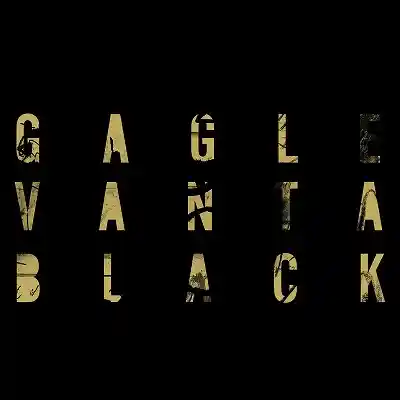 GAGLE / VANTA BLACK -LTD 2LP-Υʥ쥳ɥ㥱å ()