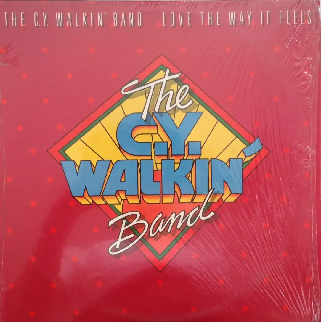 C.Y. WALKIN' BAND / LOVE THE WAY IT FEELSΥʥ쥳ɥ㥱å ()