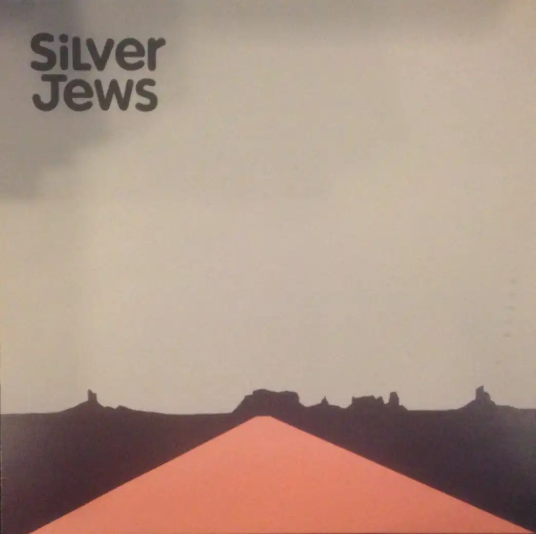 SILVER JEWS / AMERICAN WATERΥʥ쥳ɥ㥱å ()