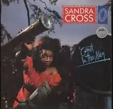 SANDRA CROSS / COMET IN THE SKYΥʥ쥳ɥ㥱å ()