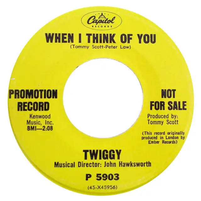 TWIGGY / WHEN I THINK OF YOU  OVER AND OVERΥʥ쥳ɥ㥱å ()