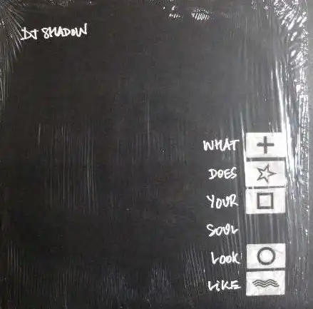DJ SHADOW / WHAT DOES YOUR SOUL LOOK LIKEΥʥ쥳ɥ㥱å ()