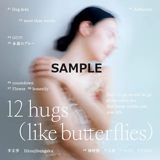 ʸ / 12 HUGS (LIKE BUTTERFLIES)Υʥ쥳ɥ㥱å ()
