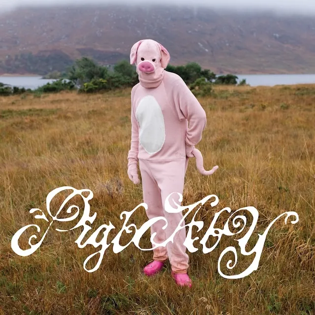 PIGBABY / I DON'T CARE IF ANYONE LISTENS TO THIS SHIT ONCE YOU DO
