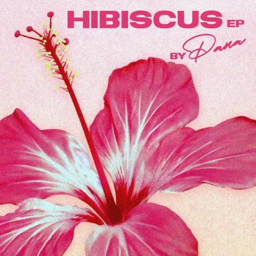 PANA / HIBISCUS EPのアナログレコードジャケット (準備中)