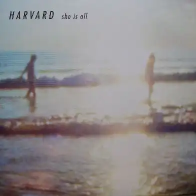 HARVARD / SHE IS ALLΥʥ쥳ɥ㥱å ()
