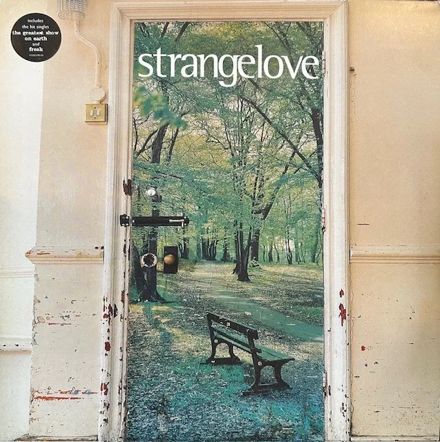 STRANGELOVE / SAMEのアナログレコードジャケット (準備中)