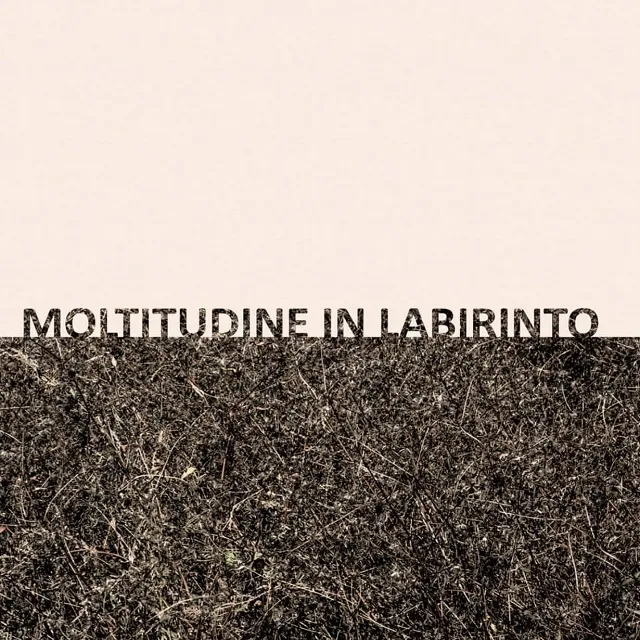 GIGI MASIN & GIUSEPPE CAPRIOLI / MOLTITUDINE IN LABIRINTO (CLEAR VINYL)のアナログレコードジャケット (準備中)