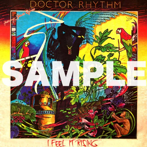 DOCTOR RHYTHM / I FEEL IT RISINGのアナログレコードジャケット (準備中)