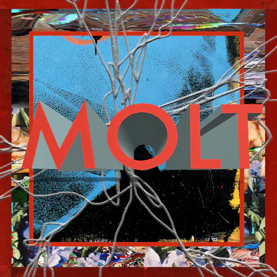 MOLT / SAMEのアナログレコードジャケット (準備中)