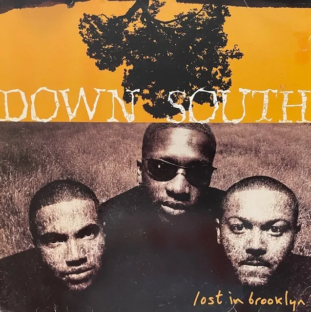 DOWN SOUTH / LOST IN BROOKLYNのアナログレコードジャケット (準備中)