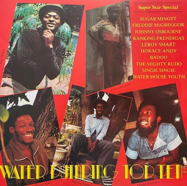 VARIOUS (SUGAR MINOTT、FREDDIE MCGREGOR) / WATER PUMPING TOP TENのアナログレコードジャケット (準備中)