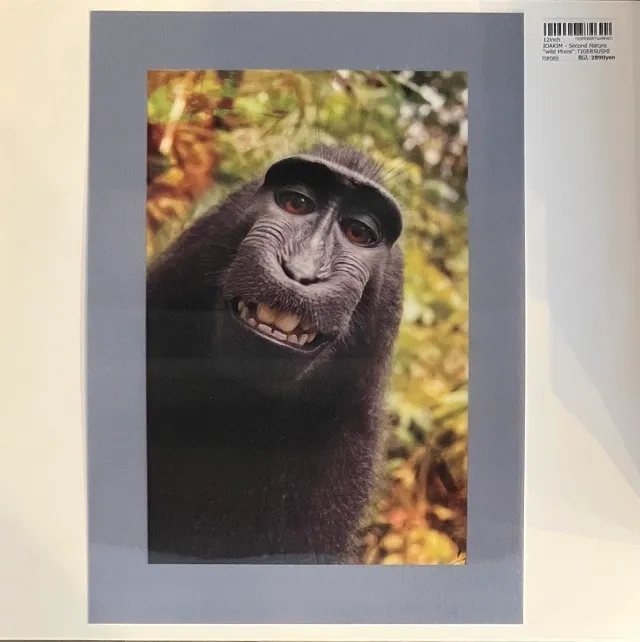 JOAKIM / SECOND NATURE / WILD MIXESのアナログレコードジャケット (準備中)