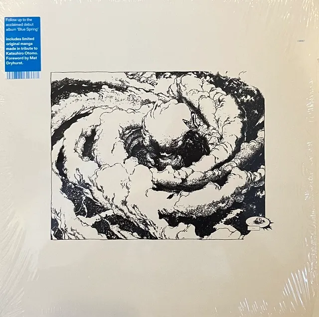 NATHAN MICAY / BUTTERFLY ARCANEのアナログレコードジャケット (準備中)
