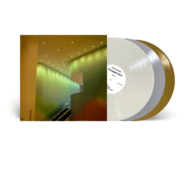  曽我部恵一  / パイナップル・ロックのアナログレコードジャケット (準備中)