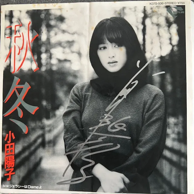 小田陽子 / 秋冬のアナログレコードジャケット (準備中)