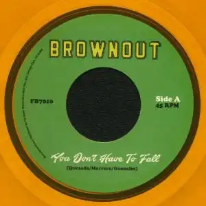 BROWNOUT / YOU DON'T HAVE TO FALL Υʥ쥳ɥ㥱å ()
