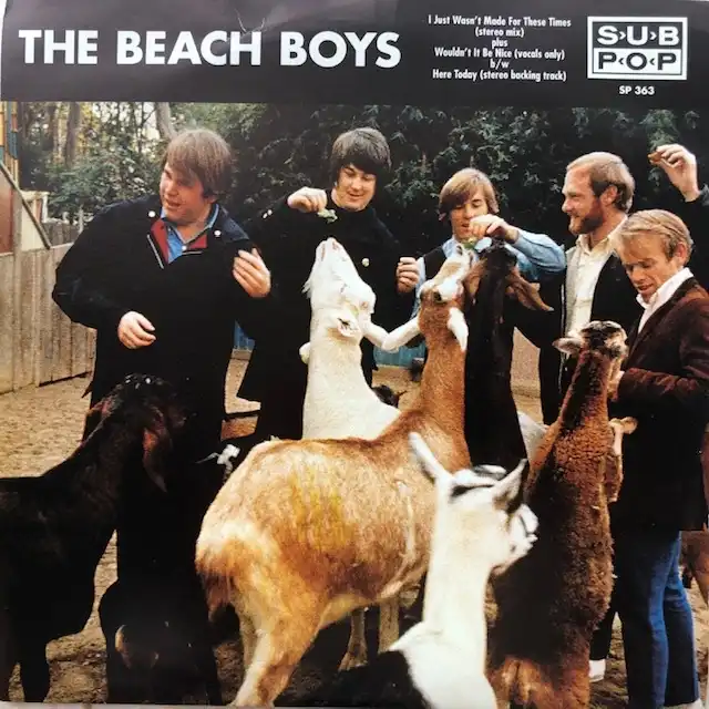 BEACH BOYS / I JUST WASNT MADE FOR THESE TIMES (STEREO MIX)Υʥ쥳ɥ㥱å ()