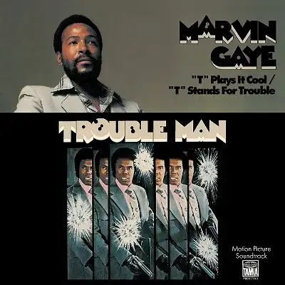 MARVIN GAYE / T PLAYS IT COOL  T STANDS FOR TROUBLEΥʥ쥳ɥ㥱å ()