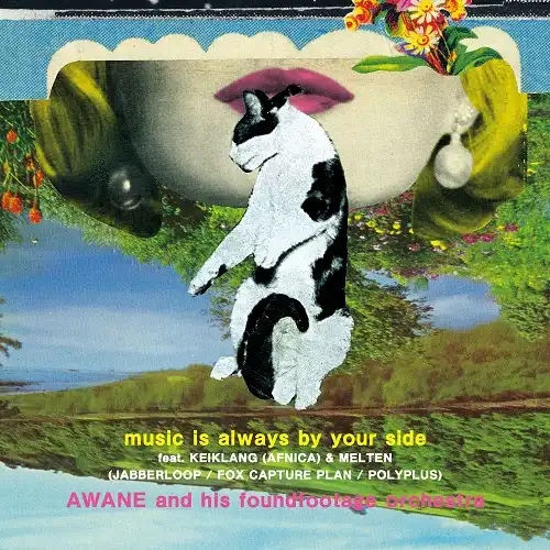 AWANE AND HIS FOUNDFOOTAGE ORCHESTRA / MUSIC IS ALWAYS BY YOUR SIDEΥʥ쥳ɥ㥱å ()