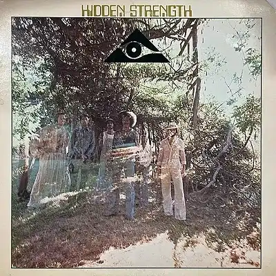 HIDDEN STRENGTH / SAME (US REISSUE)のアナログレコードジャケット (準備中)