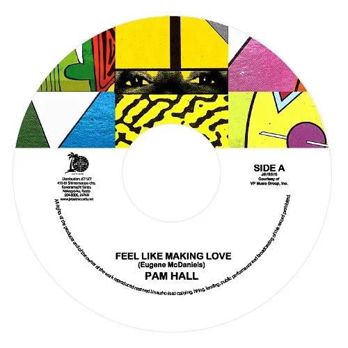 PAM HALL / FEEL LIKE MAKING LOVE  MY HEART WILL GO ONΥʥ쥳ɥ㥱å ()