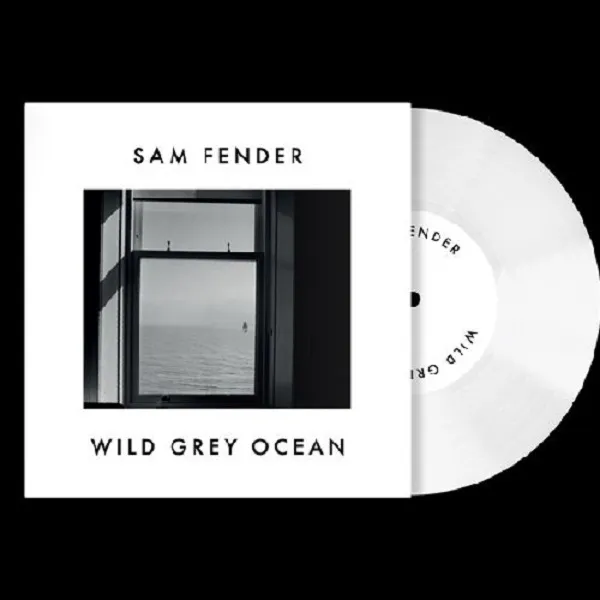 SAM FENDER / WILD RREY OCEAN  LITTLE BULL OF BLITHEΥʥ쥳ɥ㥱å ()