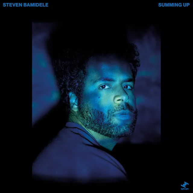 STEVEN BAMIDELE / SUMMING UPのアナログレコードジャケット (準備中)