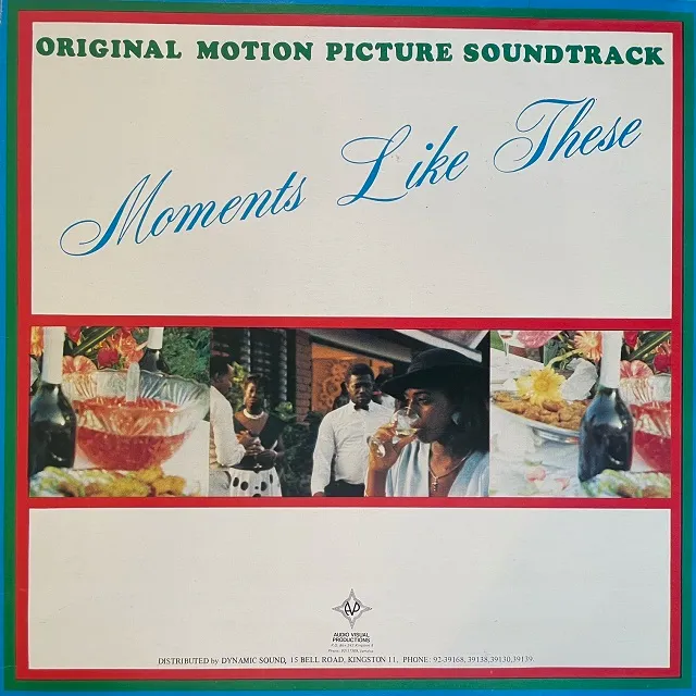 VARIOUS (GRACE NELSON、MANKIND) / MOMENTS LIKE THESEのアナログレコードジャケット (準備中)