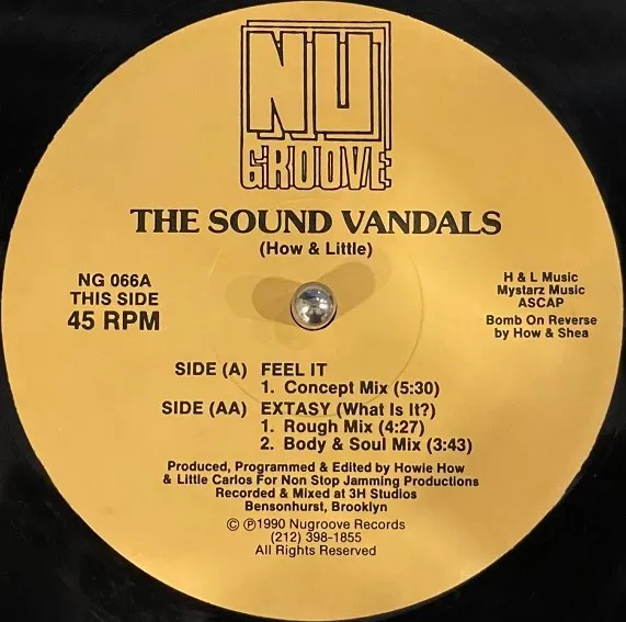 SOUND VANDALS / FEEL IT  EXTASY (WHAT IS IT?)