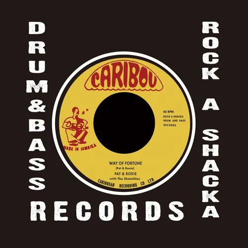 SKA / ROCK STEADYのレコード商品一覧：アナログレコード専門通販の 