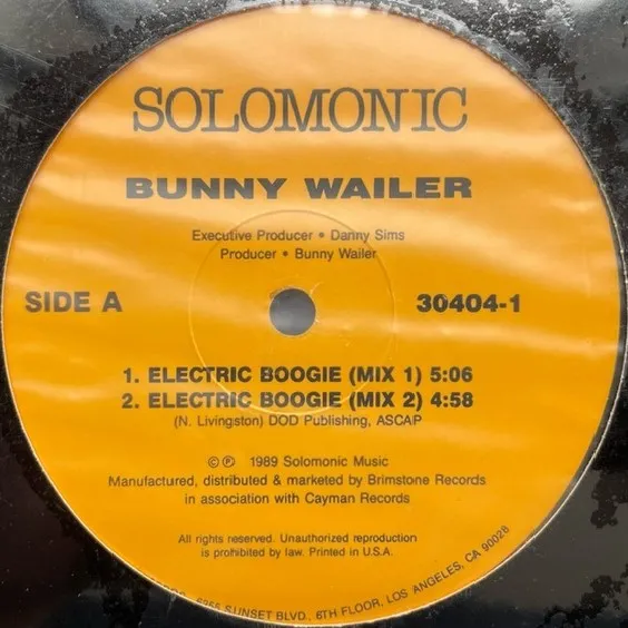 BUNNY WAILER / ELECTRIC BOOGIEΥʥ쥳ɥ㥱å ()