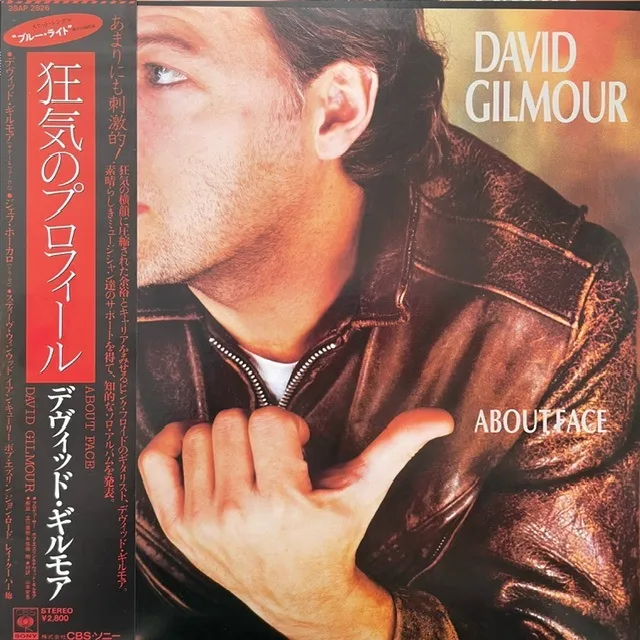 DAVID GILMOUR / ABOUT FACE