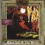 KT TUNSTALL / OTHER SIDE OF THE WORLDのアナログレコードジャケット (準備中)