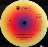 WILSON WILLIAMS / UP THE DOWN STAIRSΥʥ쥳ɥ㥱å ()