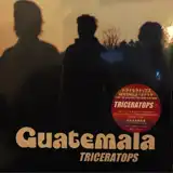 TRICERATOPS / GUATEMALAのアナログレコードジャケット (準備中)