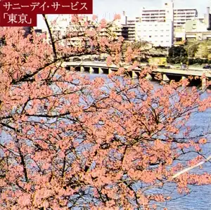 サニーデイ・サービス / 東京 [LP - MDJL-1002]：JAPANESE：アナログ