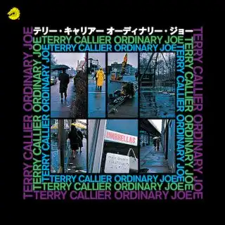 TERRY CALLIER / ORDINARY JOE [7inch - ]：：アナログレコード専門 