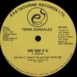 TERRI GONZALEZ / HOW GOOD IT IS / CAUGHT UP (IN ONE NIGHT LOVE AFFAIRS)  [12inch - ]：DANCE CLASSICS：アナログレコード専門通販のSTEREO RECORDS