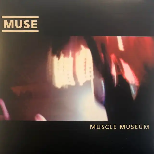 MUSE / MUSCLE MUSEUM