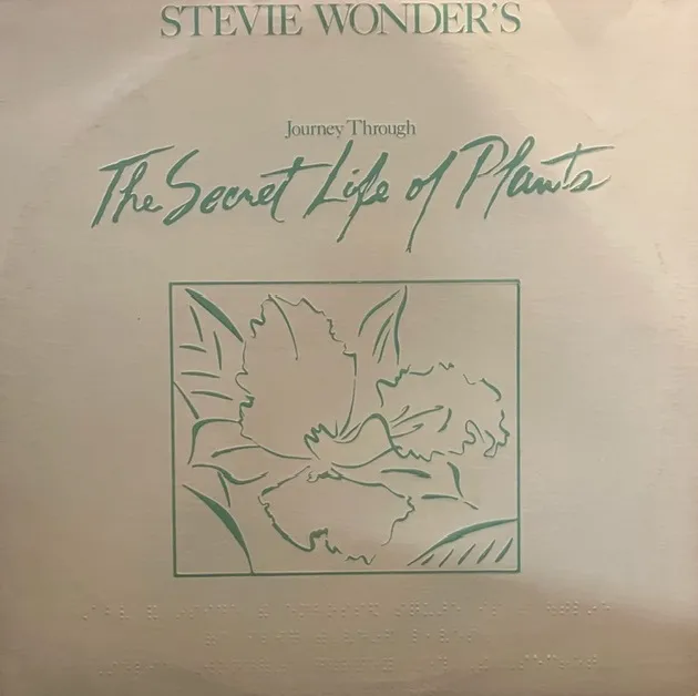 STEVIE WONDER / JOURNEY THROUGH THE SECRET LIFEΥʥ쥳ɥ㥱å ()
